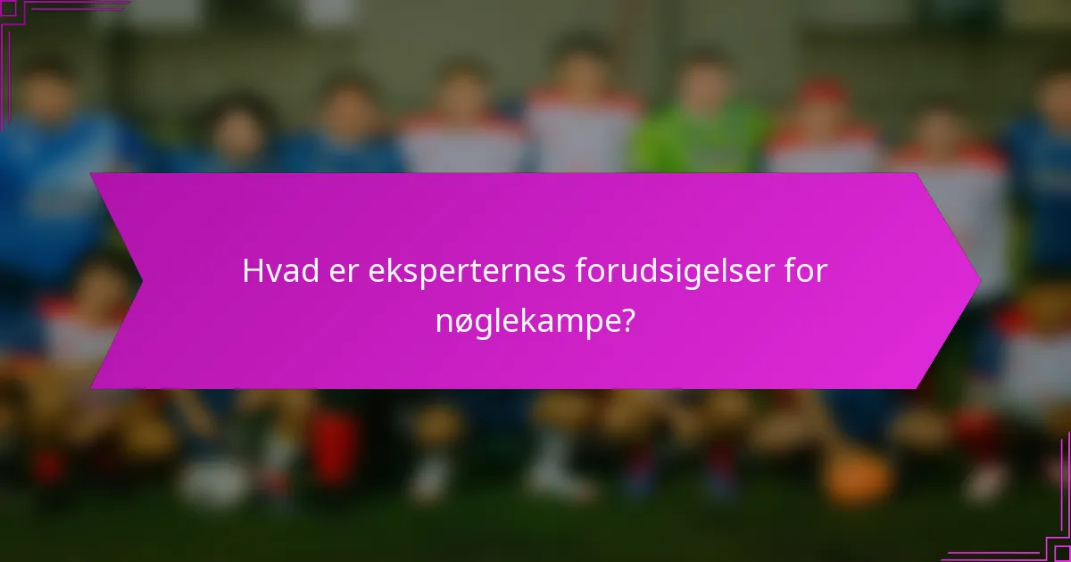 Hvad er eksperternes forudsigelser for nøglekampe?